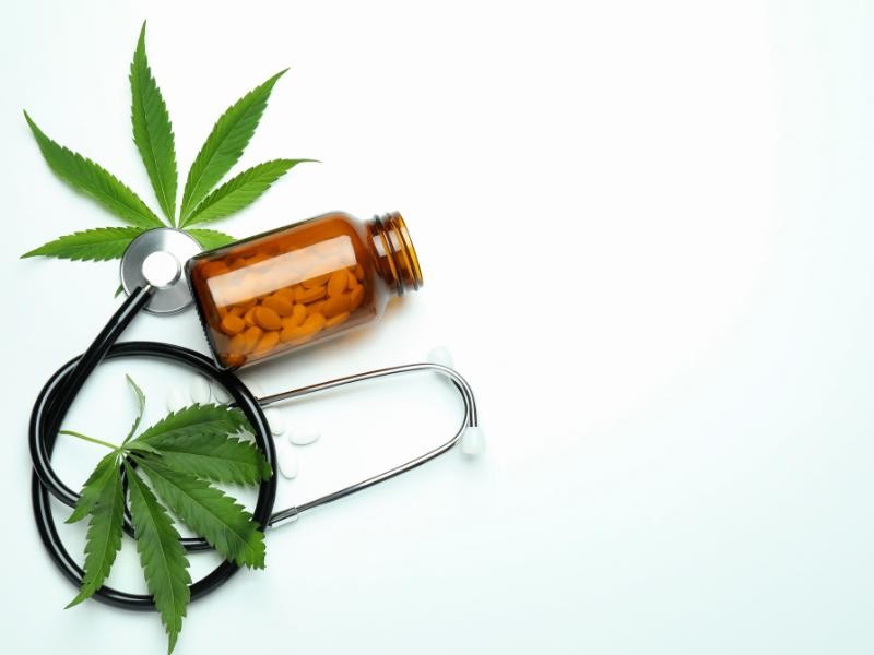 Como a Cannabis se Tornou uma Planta Medicinal?