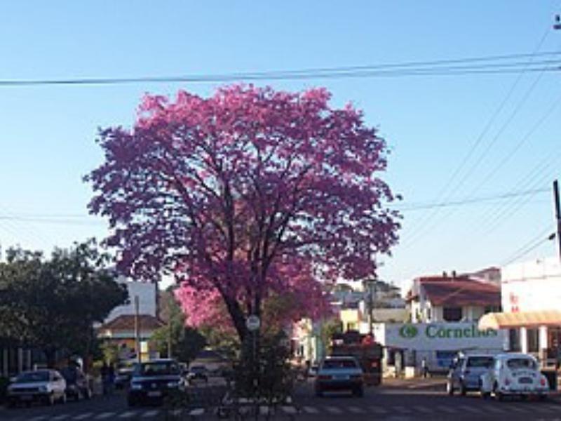 Três Passos - RS