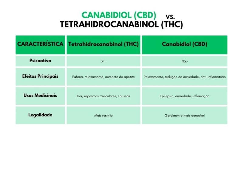 Cannabis Medicinal: Um Guia Completo para Novos Pacientes