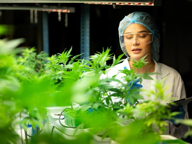 Terapia Canabinoide e Saúde Feminina: Como a Cannabis Pode Ajudar as Mulheres